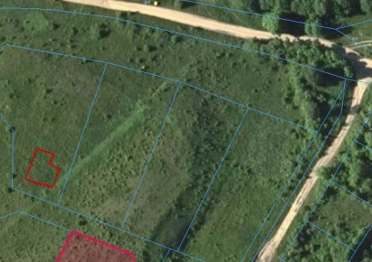 działka na sprzedaż - Pasym, Leleszki