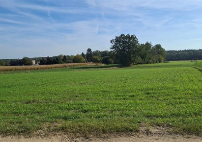 działka na sprzedaż - Bojszowy, Międzyrzecze, Przeczna